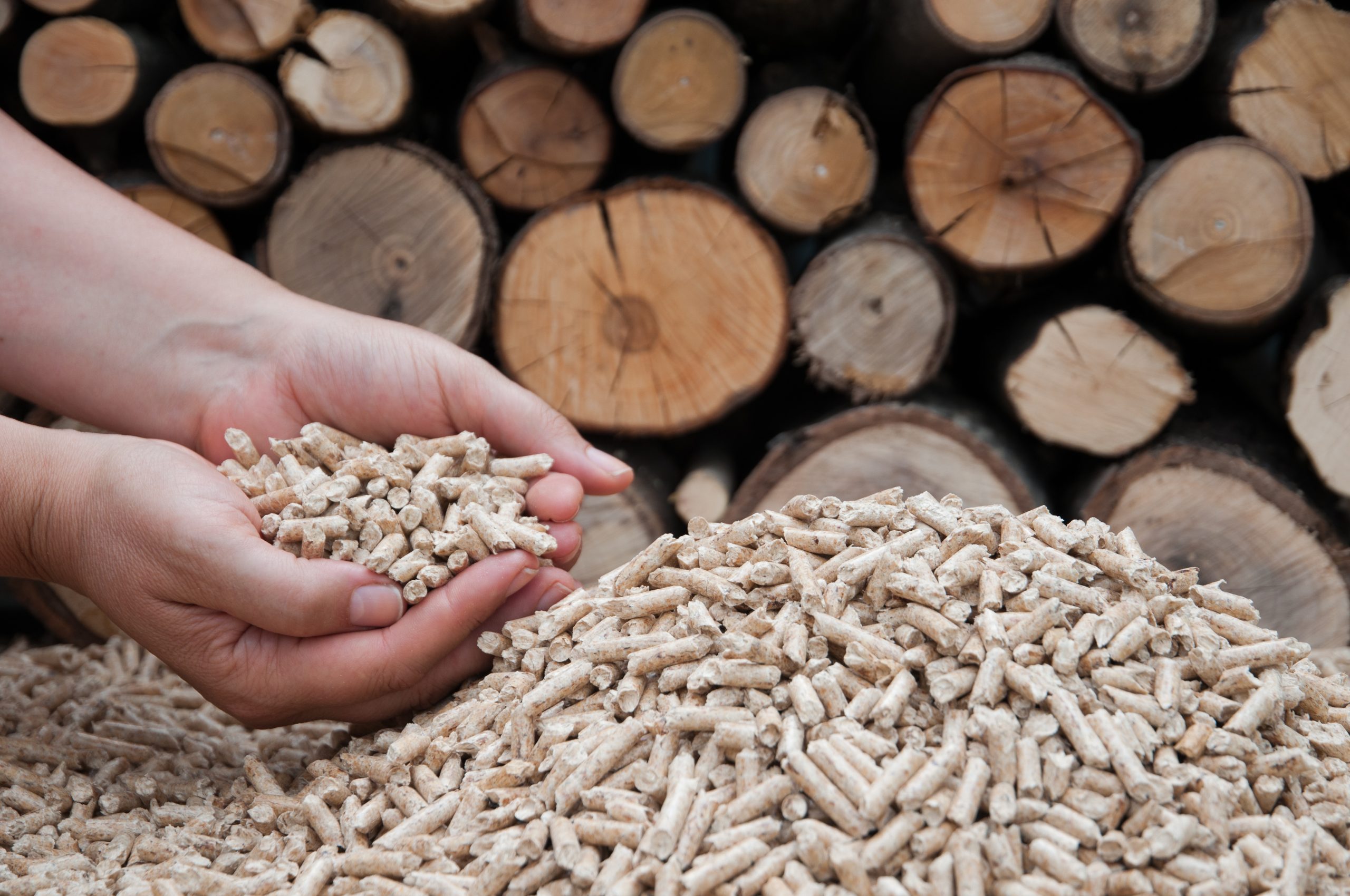 Pelllets- biomass Pelllets- biomass