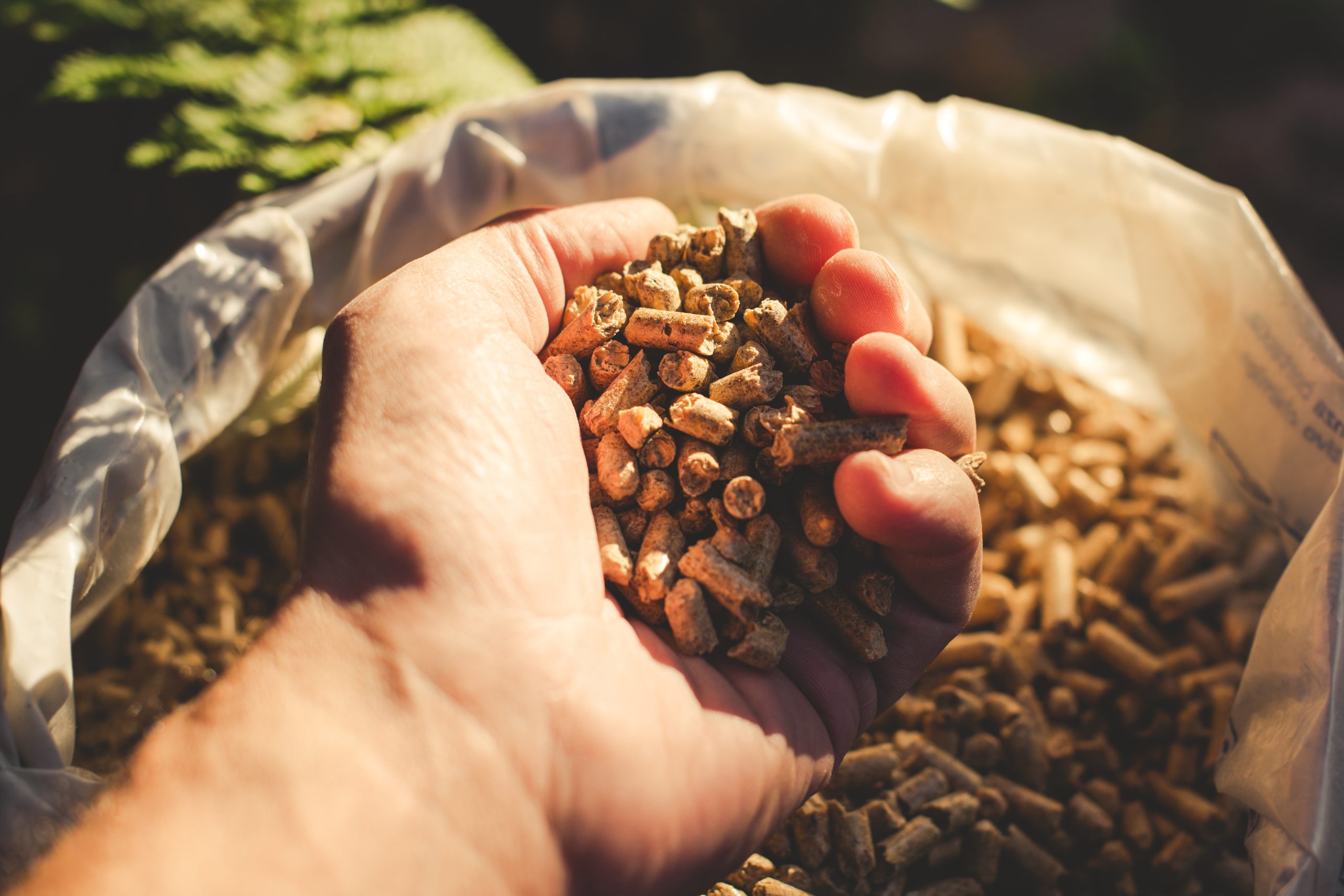 natural wood pellet natural wood pellet