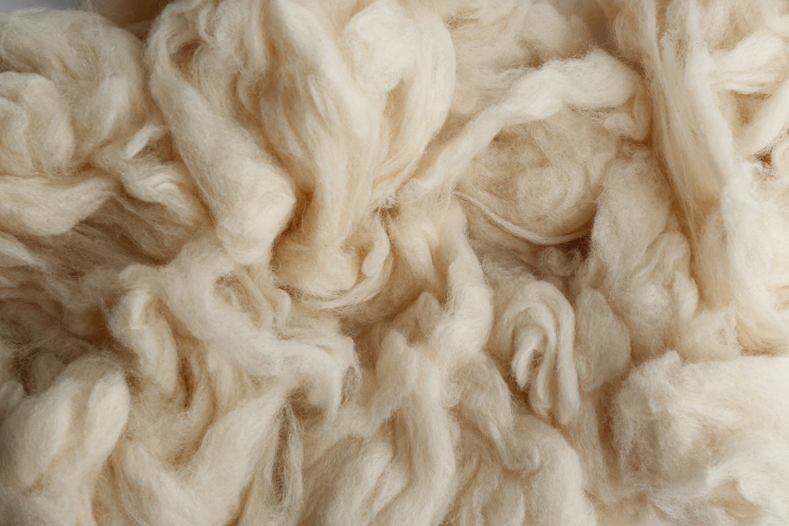 Soft white wool texture as background, closeup Soft white wool texture as background, closeup