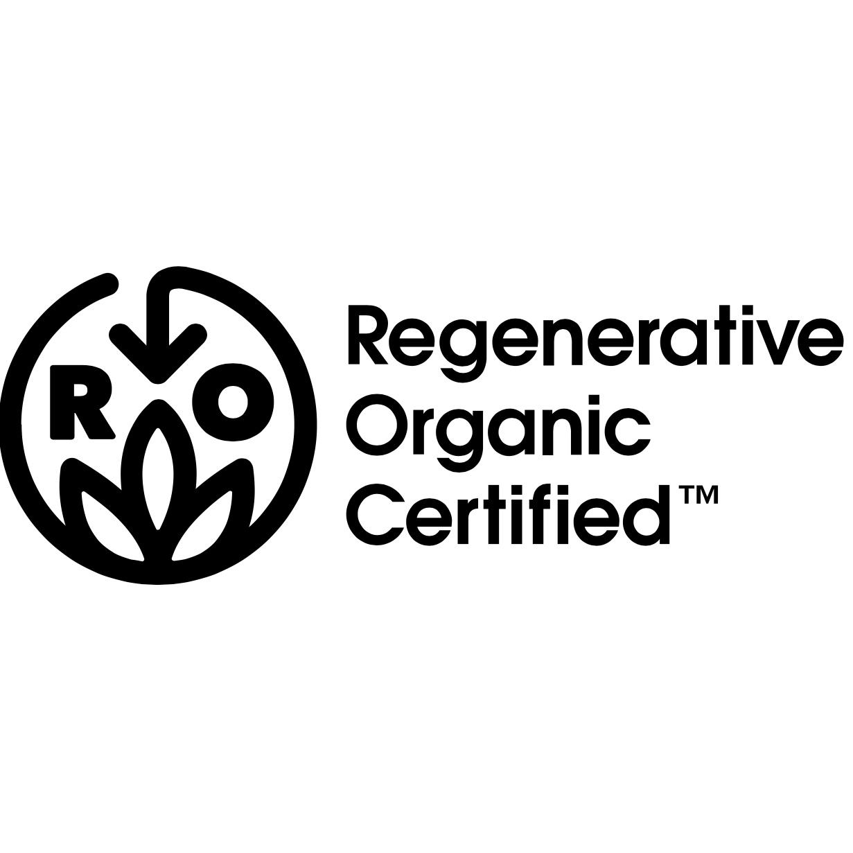 roc_logo roc_logo