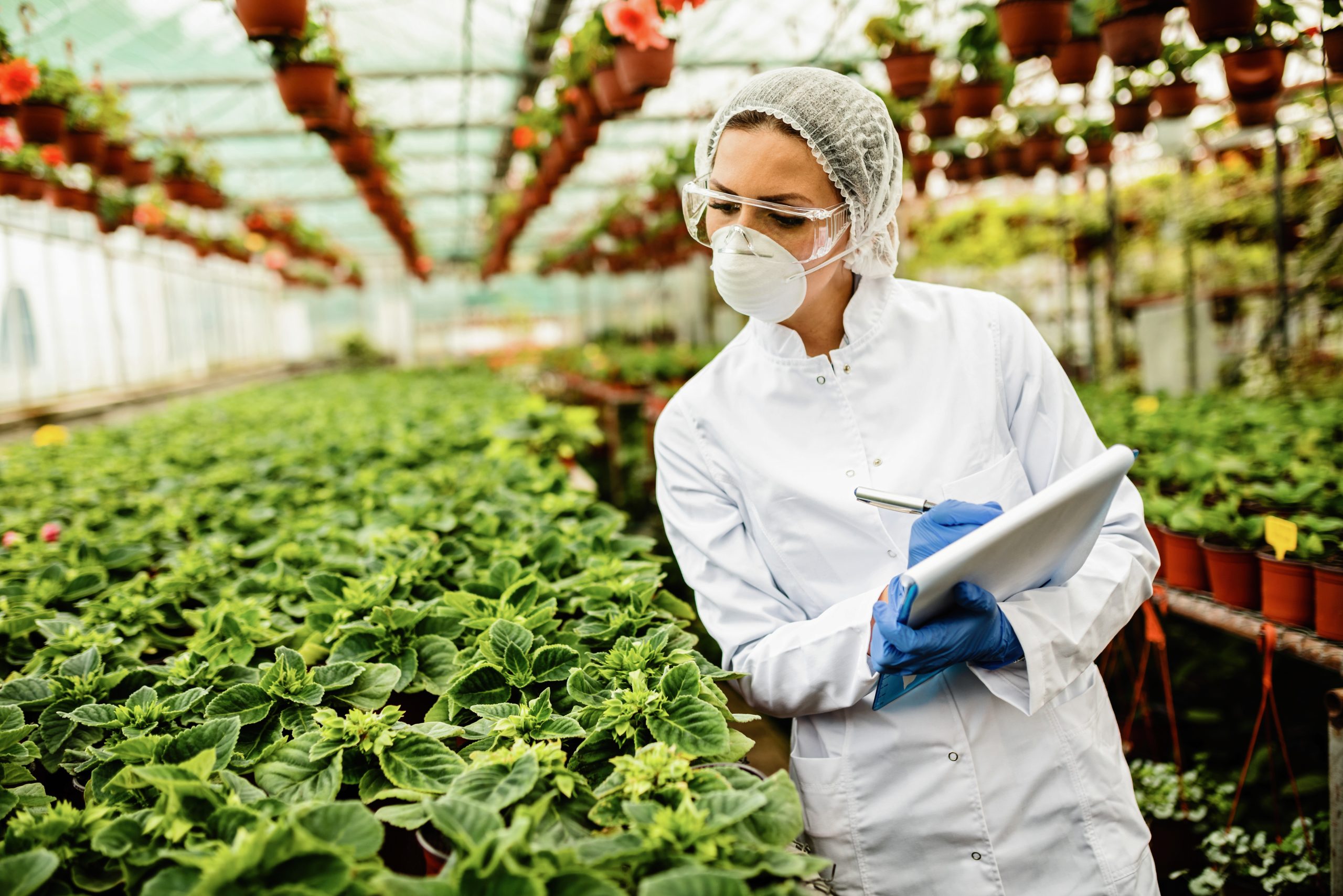 organic certifier